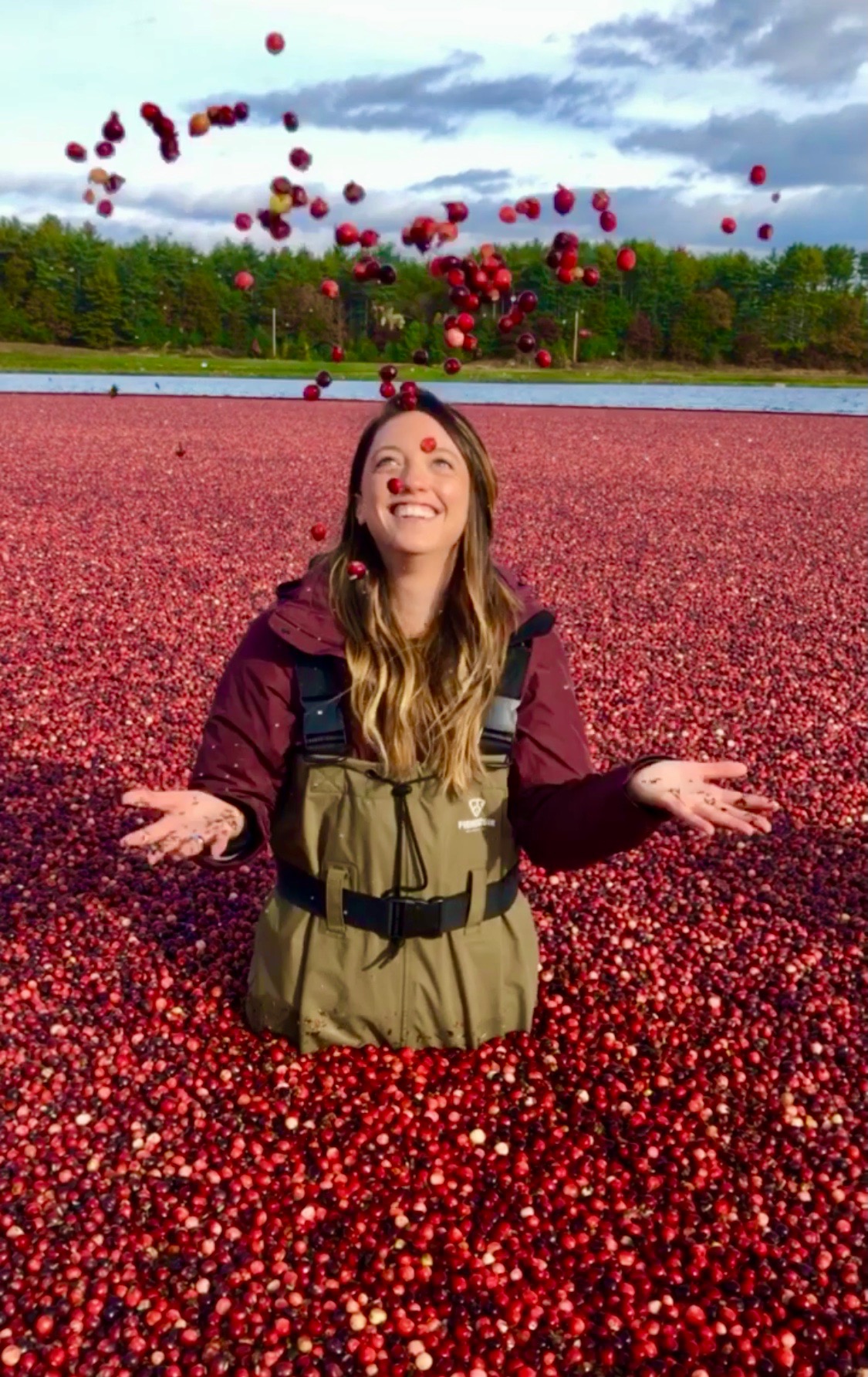 Cranberry Bog Experience at Benson’s Pond